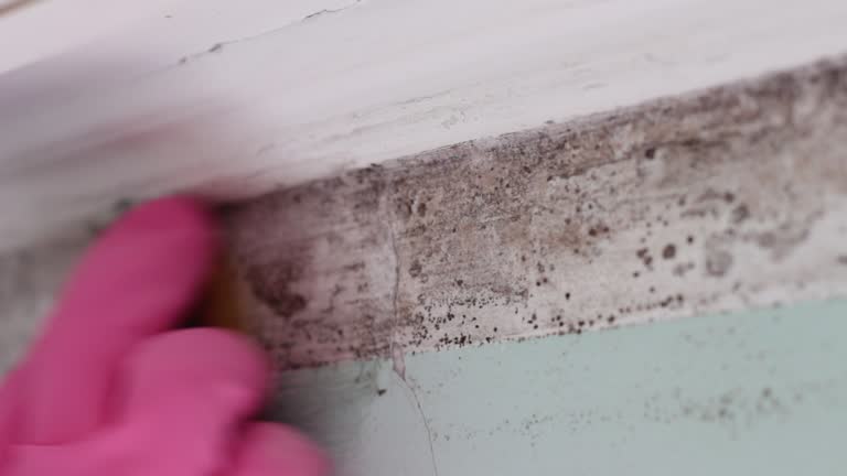 Best Dehumidification Services  in Copiague, NY